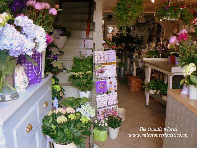 Image of BEAUTIFUL FLORIST AND GIFT SHOP